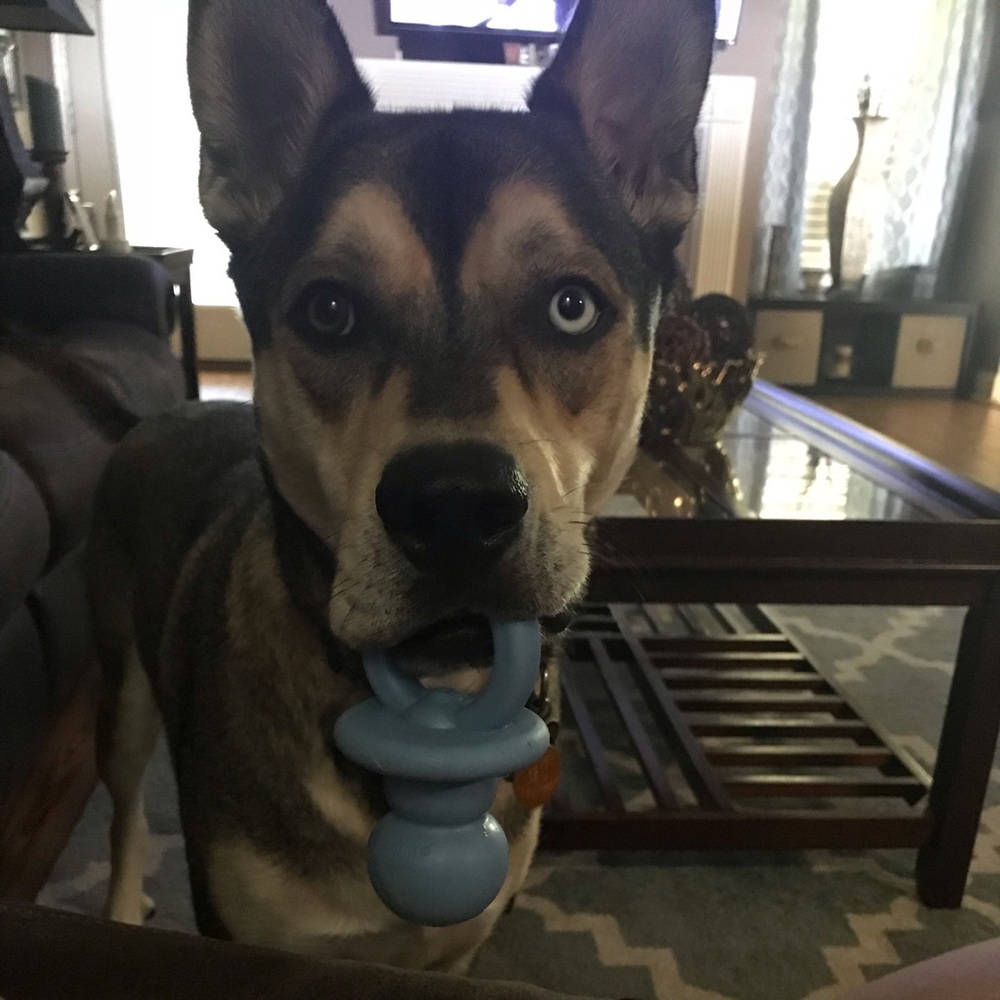 Please read before you make a purchase!